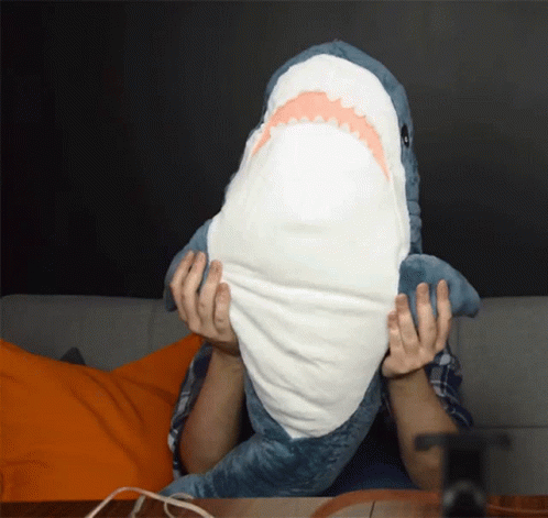 a person is holding a stuffed shark with their face covered