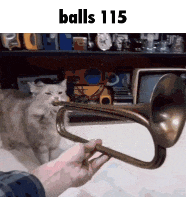 A Person Is Holding A Trumpet In Front Of A Cat With The Words Balls 115 Written On The Bottom GIF