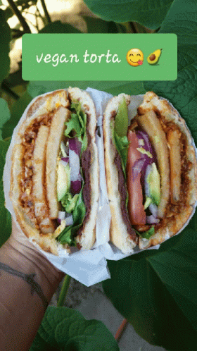 a person is holding a vegan torta sandwich in front of a plant