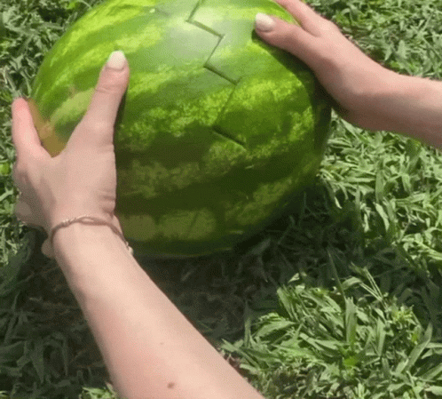 A Person Is Holding A Watermelon In Their Hands With The Letter L Carved Into It GIF