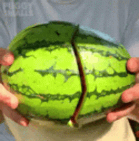 A Person Is Holding A Watermelon That Has Been Cut In Half And Is Being Held In Their Hands . GIF