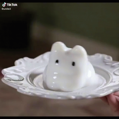 A Person Is Holding A White Plate With A White Bunny On It . GIF
