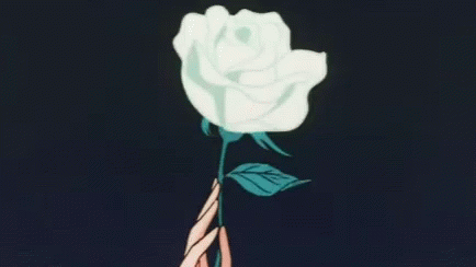 A Person Is Holding A White Rose With Green Leaves . GIF