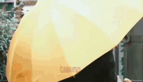 A Person Is Holding A Yellow Umbrella With The Word Casaday On It GIF