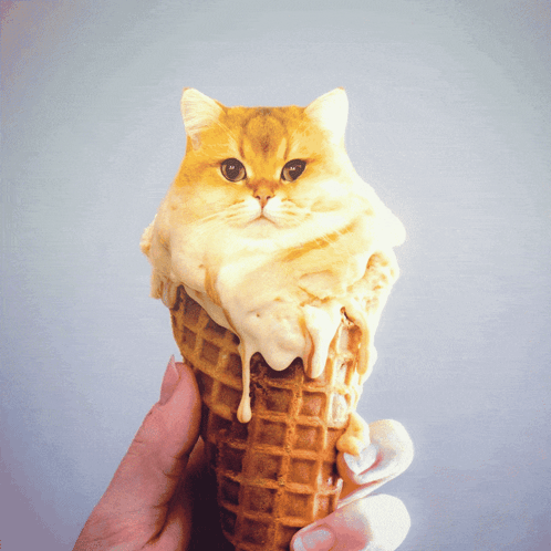 A Person Is Holding An Ice Cream Cone With A Cat On It GIF