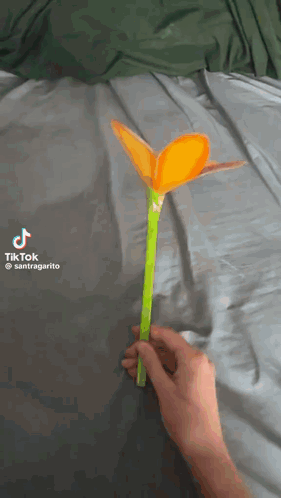 A Person Is Holding An Orange Flower With A Green Stem On A Bed GIF