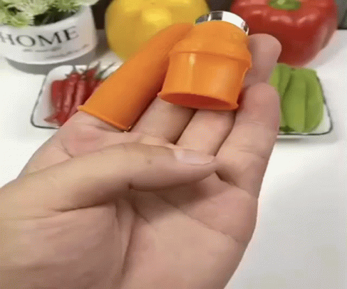 A Person Is Holding An Orange Object In Their Hand In Front Of A Potted Plant That Says Home GIF