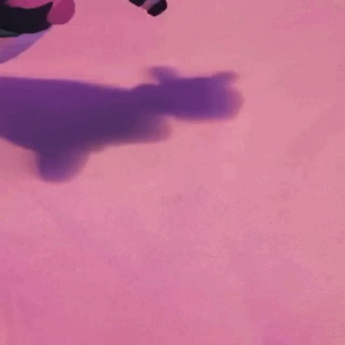 A Person Is Kneeling Down On A Pink Surface With A Purple Shadow On It . GIF
