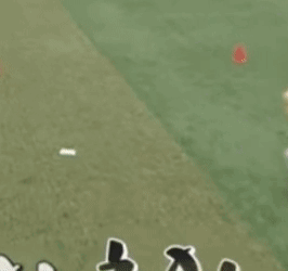 a person is kneeling down on the grass while playing a game of cricket .