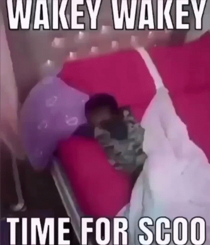 a person is laying in a bed with the words wakey wakey time for scoo on the bottom