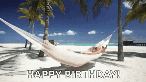 A Person Is Laying In A Hammock On A Beach With Palm Trees . GIF