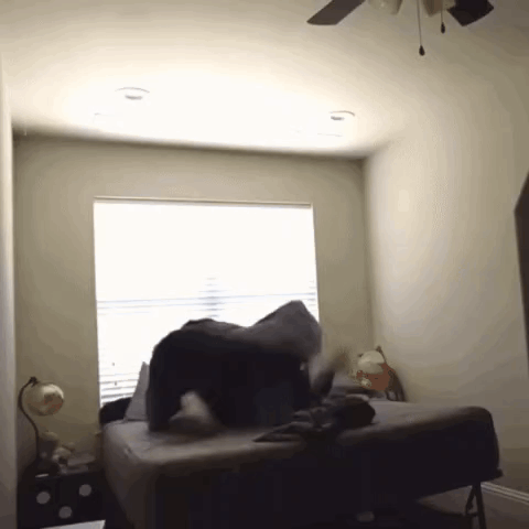 A Person Is Laying On A Bed In A Bedroom GIF
