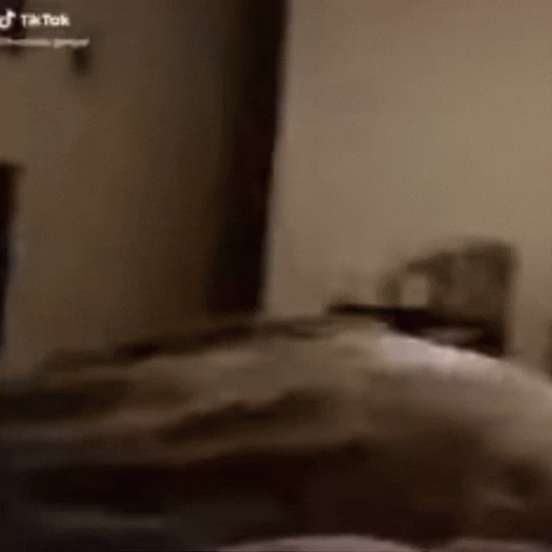 A Person Is Laying On A Bed In A Bedroom With A Tik Tok Logo On The Wall . GIF