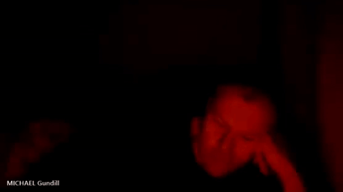 A Person Is Laying On A Bed In A Dark Room With A Red Light Coming Out Of The Corner . GIF