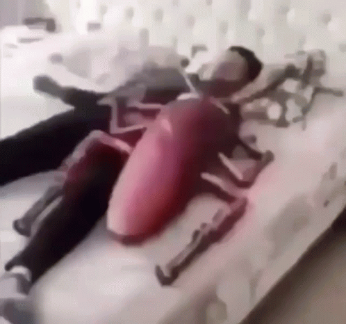 A Person Is Laying On A Bed With A Toy Cockroach On Their Back . GIF