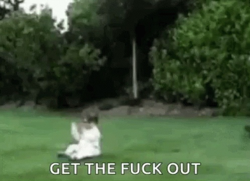 A Person Is Laying On The Grass In A Field With The Words `` Get The Fuck Out '' Written On It . GIF