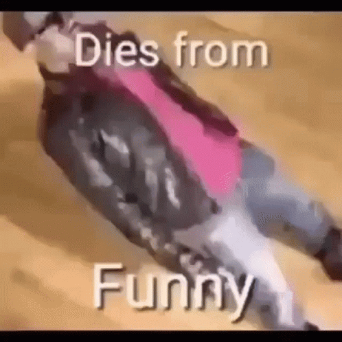 A Person Is Laying On The Ground With The Words `` Dies From Funny '' Written Next To Them . GIF