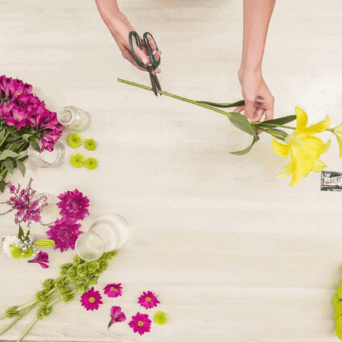 A Person Is Making A Bouquet Of Flowers With Purple And White Flowers GIF