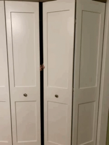 a person is peeking out from behind a pair of folding doors .