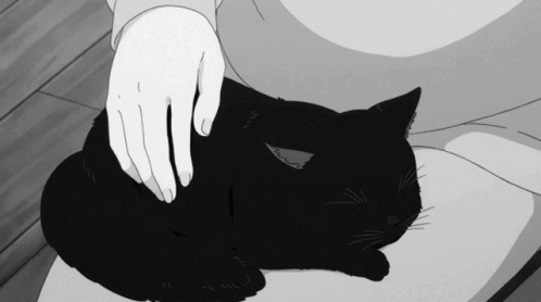 A Person Is Petting A Black Cat On Their Lap GIF