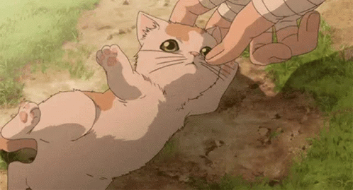 A Person Is Petting A Cat That Is Laying On Its Back In The Grass . GIF