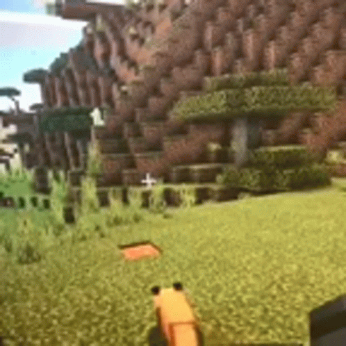 A Person Is Playing A Video Game In A Field With A Fox . GIF
