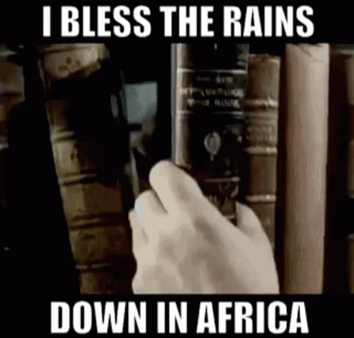 A Person Is Reaching For A Book In A Library With A Caption That Says I Bless The Rains Down In Africa . GIF