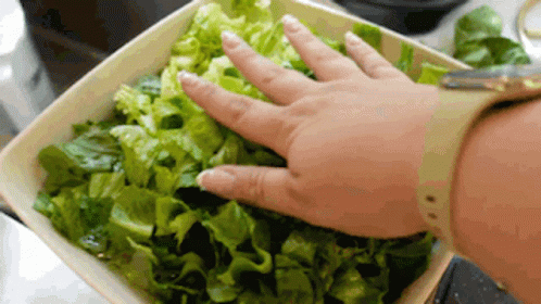 A Person Is Reaching Into A Bowl Of Lettuce With Their Hand GIF
