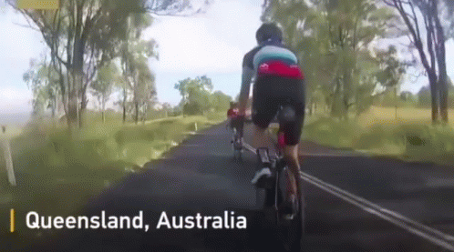 A Person Is Riding A Bike Down A Country Road In Queensland Australia GIF