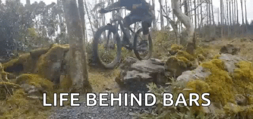A Person Is Riding A Bike Down A Rocky Trail In The Woods . GIF