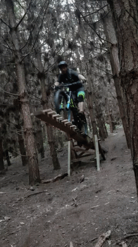 A Person Is Riding A Bike On A Wooden Ramp In The Woods GIF