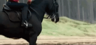 A Person Is Riding A Black Horse In A Field . GIF