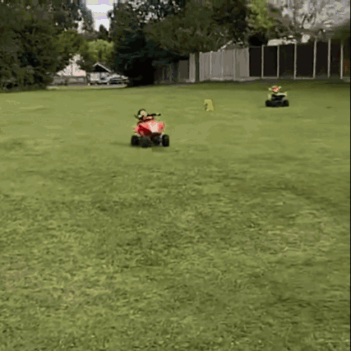 A Person Is Riding A Red Honda Atv In The Grass GIF