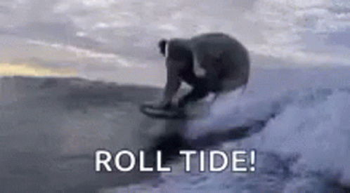 A Person Is Riding A Wave On A Surfboard In The Ocean With The Words `` Roll Tide '' . GIF
