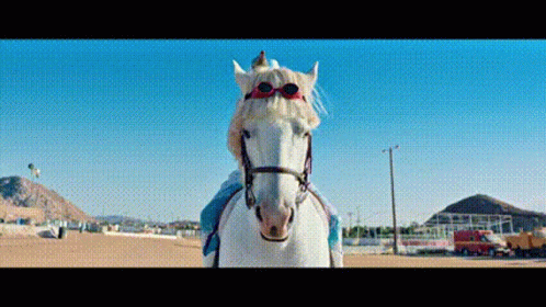 A Person Is Riding A White Horse With Sunglasses On Its Head GIF