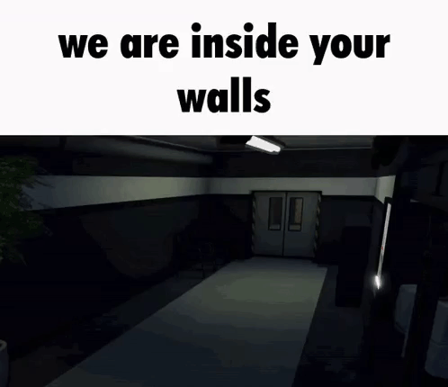 A Person Is Standing In A Dark Hallway In A Video Game And They Are Inside Your Walls . GIF
