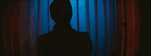 A Person Is Standing In A Dark Room In Front Of A Blue And Red Curtain . GIF