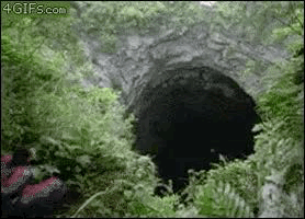 A Person Is Standing In A Hole In The Woods . GIF