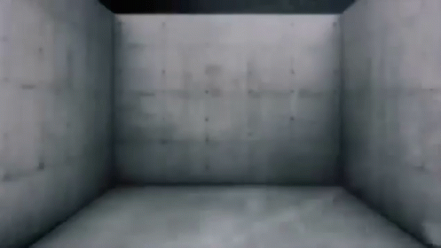 a person is standing in a room with a concrete wall and a gray floor .