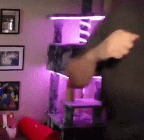 A Person Is Standing In Front Of A Cat Tree With Purple Lights On It GIF