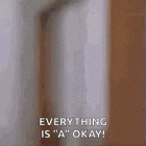 A Person Is Standing In Front Of A Door And Saying `` Everything Is A Okay '' . GIF