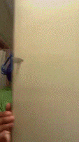 A Person Is Standing In Front Of A Door In A Bathroom . GIF