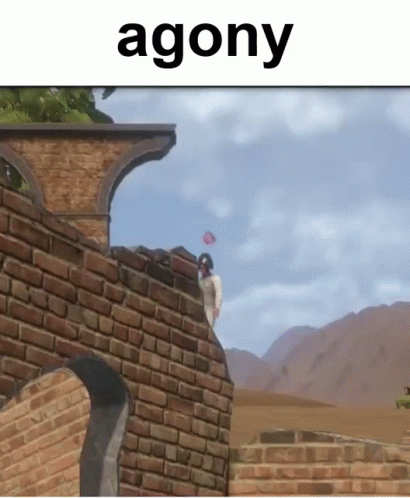 A Person Is Standing On Top Of A Brick Wall With The Word Agony Written Above Them . GIF