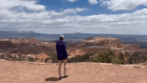 A Person Is Standing On Top Of A Mountain Looking At The Landscape . GIF
