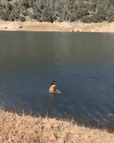 A Person Is Swimming In A Lake With A Hat On Their Head GIF