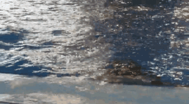 A Person Is Swimming In A Pool With A Blurred Background GIF