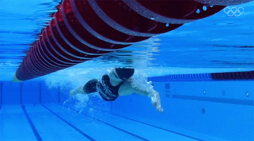 A Person Is Swimming In A Pool With The Olympic Rings Visible GIF