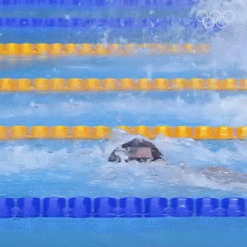A Person Is Swimming In A Pool With The Olympic Rings Visible GIF