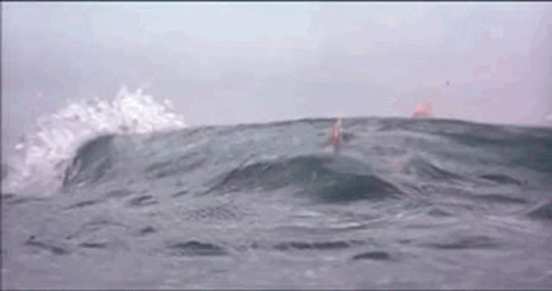 A Person Is Swimming In The Ocean With Waves Crashing Against Them GIF
