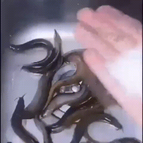 A Person Is Touching A Bunch Of Fish In A Sink With Their Hand . GIF